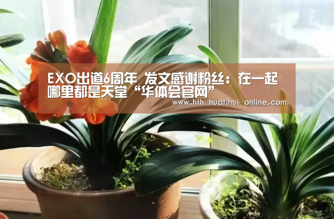 EXO出道6周年 发文感谢粉丝:在一起哪里都是天堂“华体会官网”(图1) 华体会官网