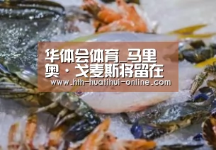 华体会体育_马里奥·戈麦斯将留在斯图加特(图1) 华体会官网